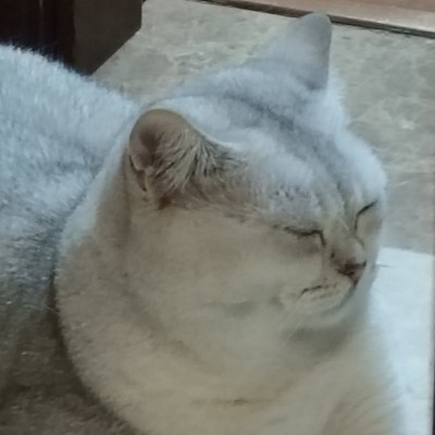 sleep