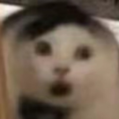 傻猫不傻