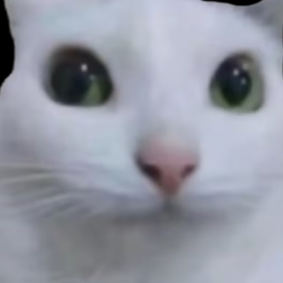 叱咤