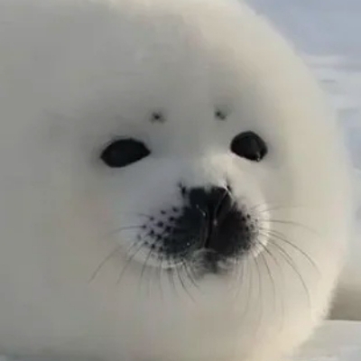 Eeeeeeee
