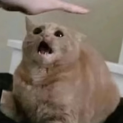星海