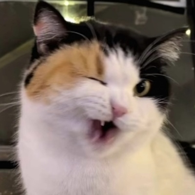 jjiiil