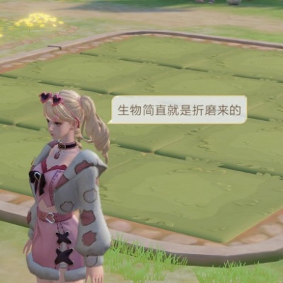 鸠羽焕