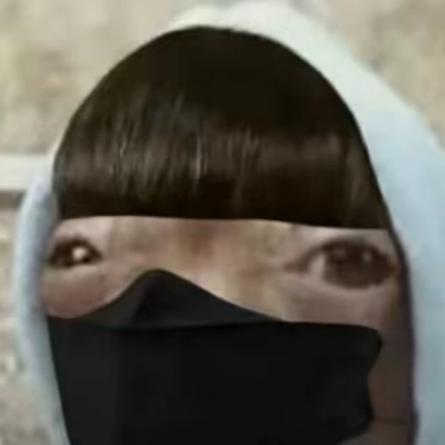 嘉豪