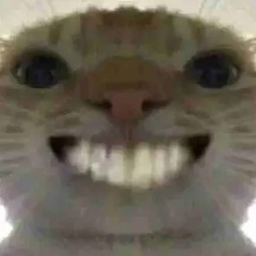 一条咸鱼