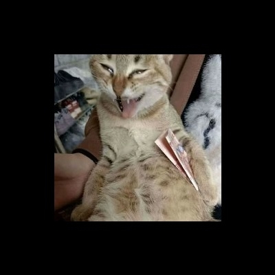 性病受益人