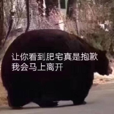 莱昂纳多李