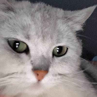 好玩，爱玩