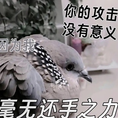 沙滩?男孩