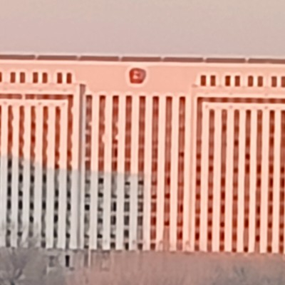 爱吃薯片的小天才lts796