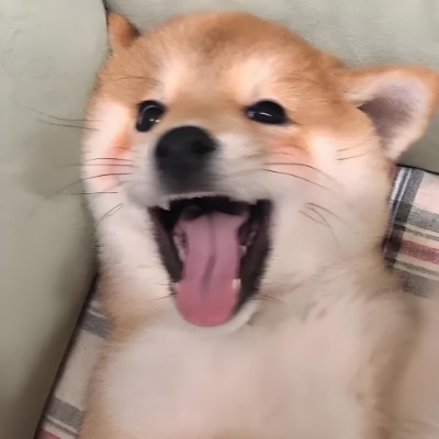 化星