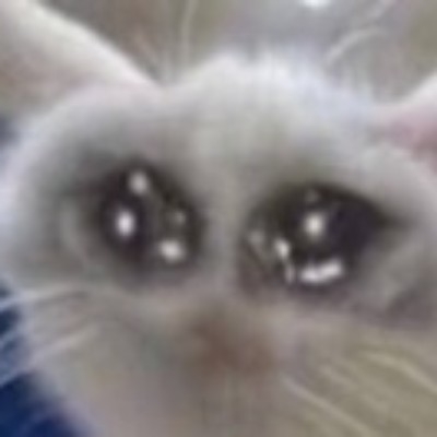 白子的√