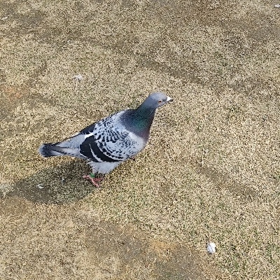 。。。。。