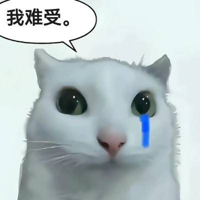 t午