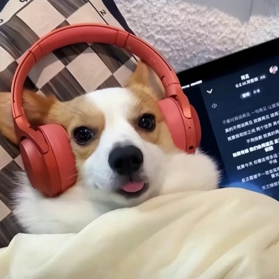 盖饭