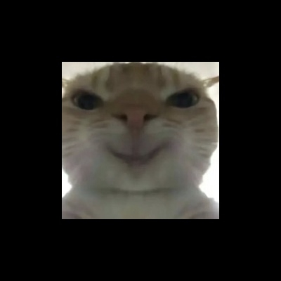 哈基米