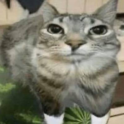 社畜在偷懒fnd47