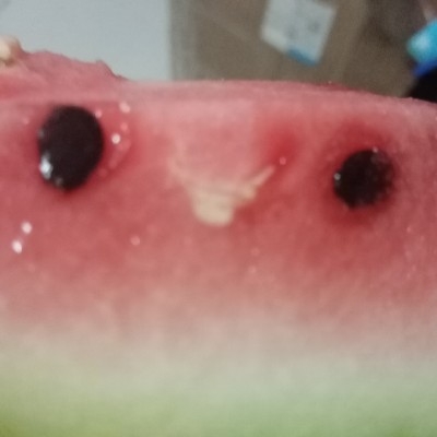 Eliauk