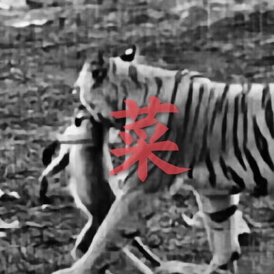 崔阮蛍