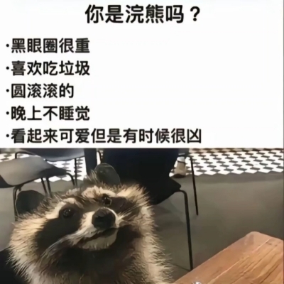 搬砖人坚持做饭uwg56