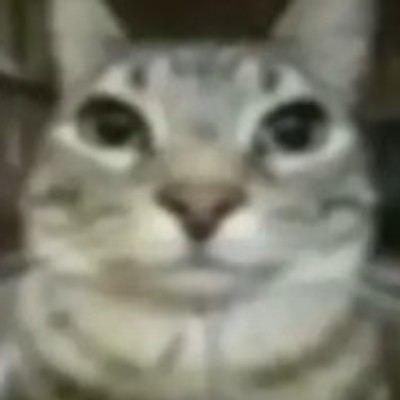木某m