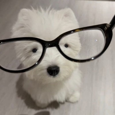 睡觉