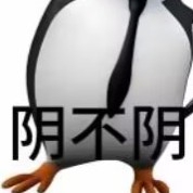 凡尔赛单身小天才r1