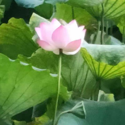 路段不会段