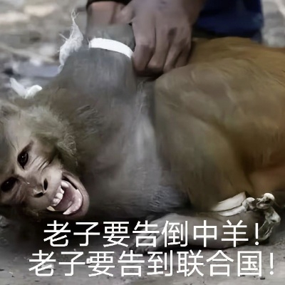 十连满破就氪金