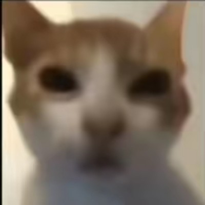 小毅恶搞王