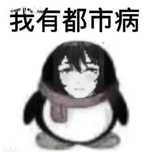 眨眨6233