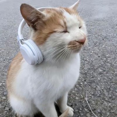 总裁见面5秒开始战斗slj68