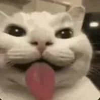 NSJP