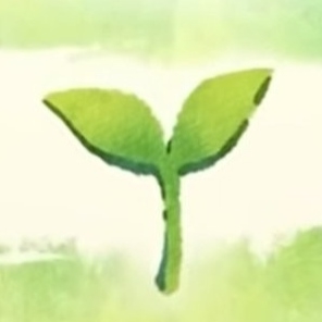 梦星若羽