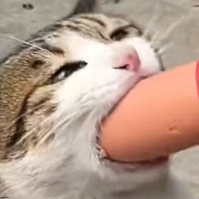 啊啊啊