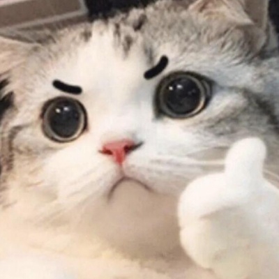 猫咪墨落