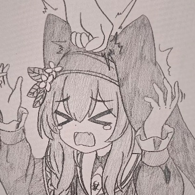 追赶流星的人