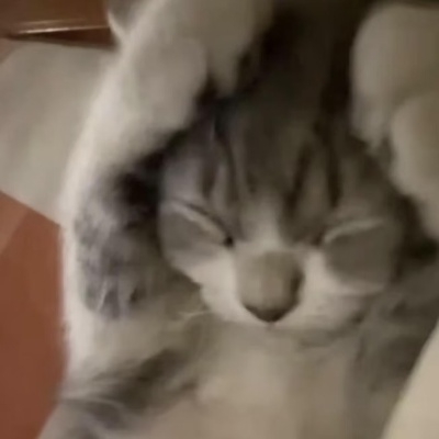 歌词