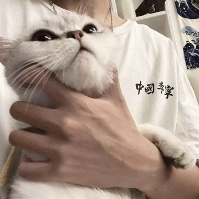 橘子味的西绿柿n65