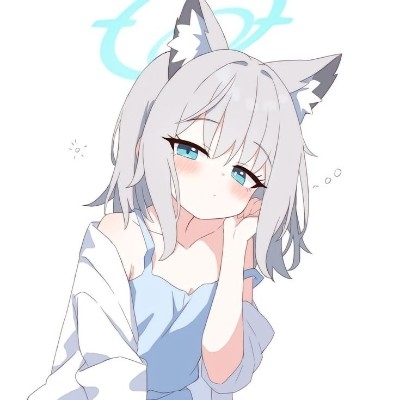 小众的帕尼尼np1