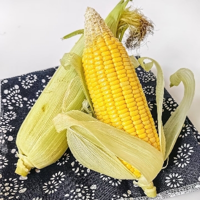 青瓜肥皂打工ingwe20