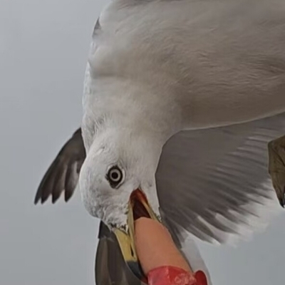 0261