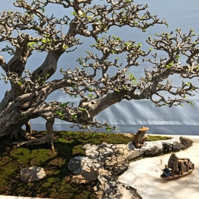 饺子永远在睡觉b347