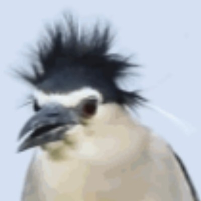 被窝探险家主动出击nrl54