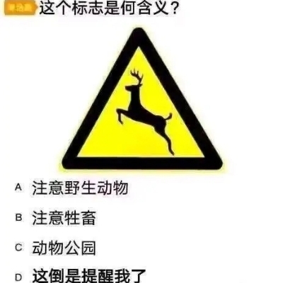 这倒是提醒我了