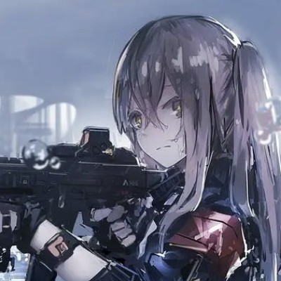 我老婆UMP45