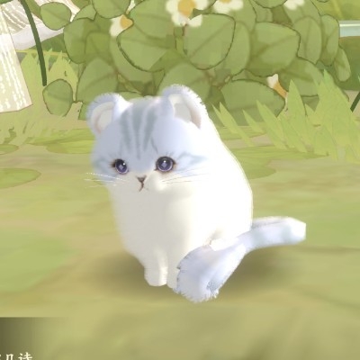 。。。