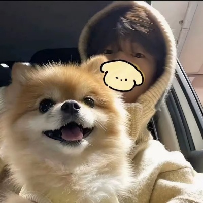 艾欧尼亚小熊日记on73