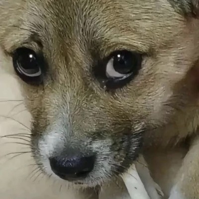 不圆