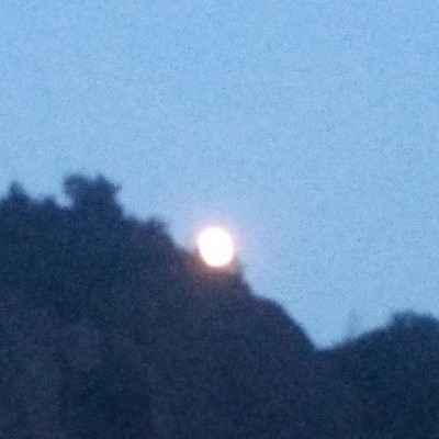 内行的低端玩家yu0